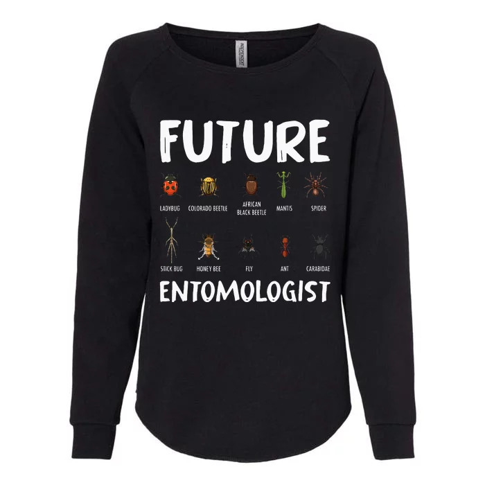 Biology Nerd Insect Collector Future Entomologist Beetle Bug Womens California Wash Sweatshirt