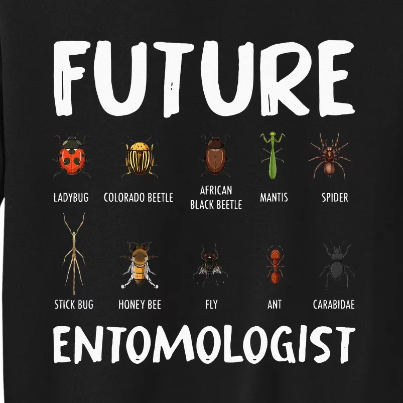 Biology Nerd Insect Collector Future Entomologist Beetle Bug Tall Sweatshirt