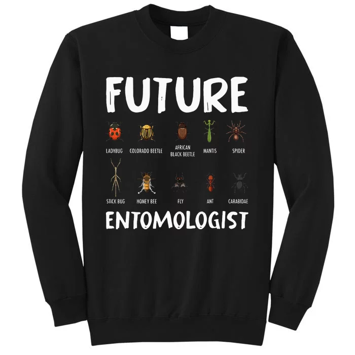 Biology Nerd Insect Collector Future Entomologist Beetle Bug Tall Sweatshirt