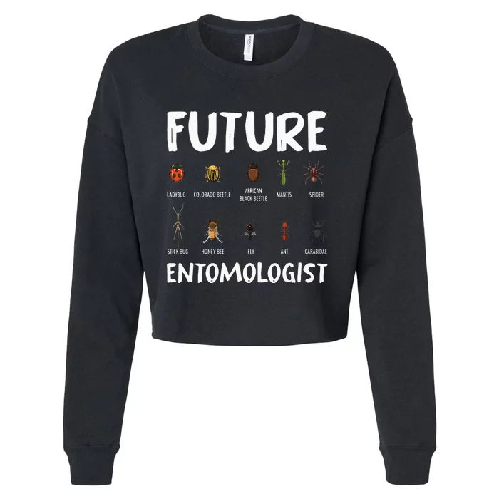 Biology Nerd Insect Collector Future Entomologist Beetle Bug Cropped Pullover Crew