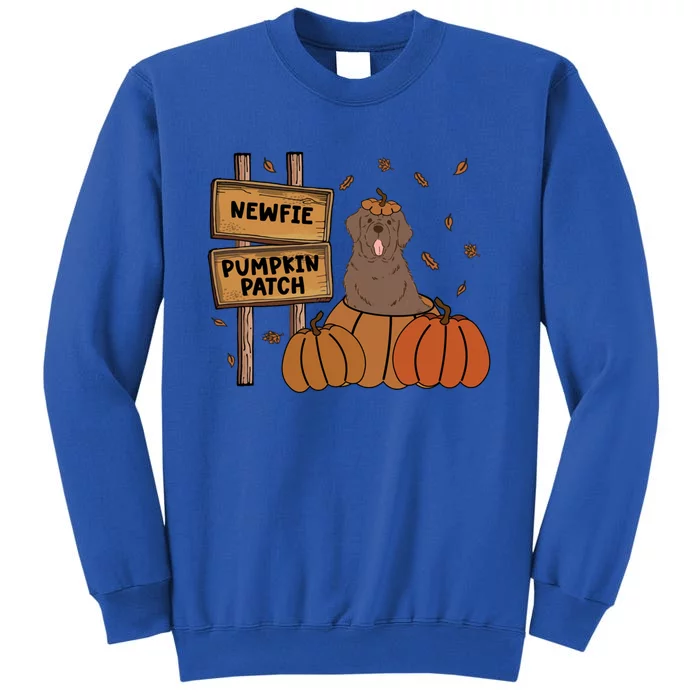 Brown Newfie Pumpkin Patch Dog Lovers Thanksgiving Halloween Great Gift Tall Sweatshirt