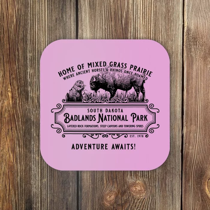 Badlands National Park South Dakota Bison Prairie Dog Coaster