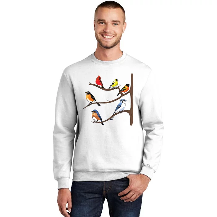 Birds On A Branch Birding Birdwatching Birder Bird Watcher Sweatshirt