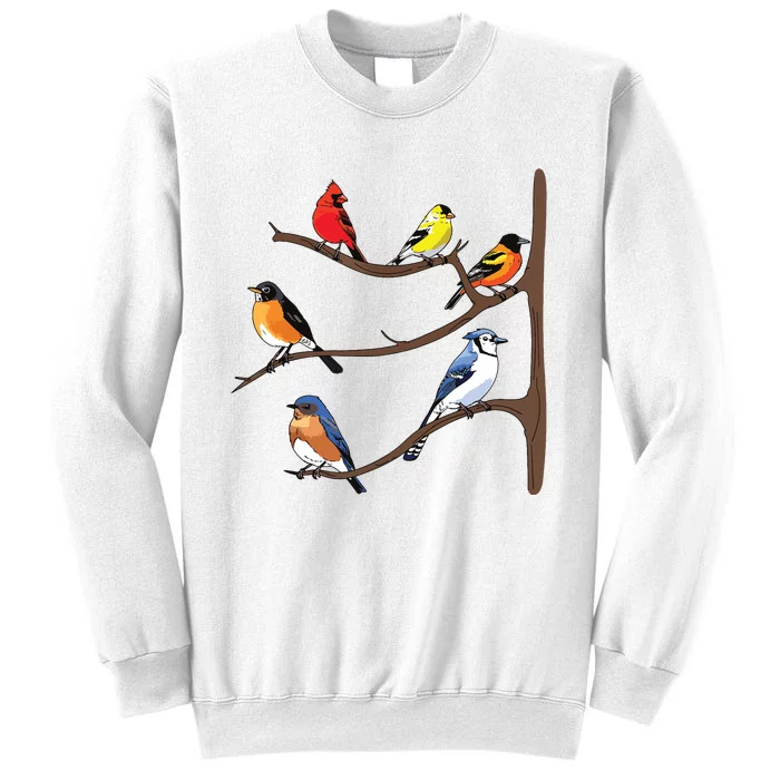 Birds On A Branch Birding Birdwatching Birder Bird Watcher Sweatshirt