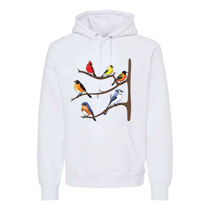 Birds On A Branch Birding Birdwatching Birder Bird Watcher Premium Hoodie