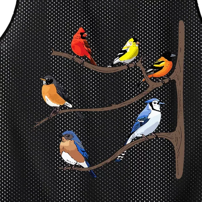 Birds On A Branch Birding Birdwatching Birder Bird Watcher Mesh Reversible Basketball Jersey Tank