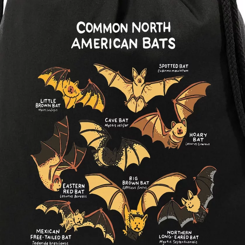 Bats Of North America I Megabat I Bloodsucker I Bat Drawstring Bag