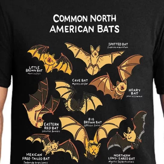 Bats Of North America I Megabat I Bloodsucker I Bat Pajama Set