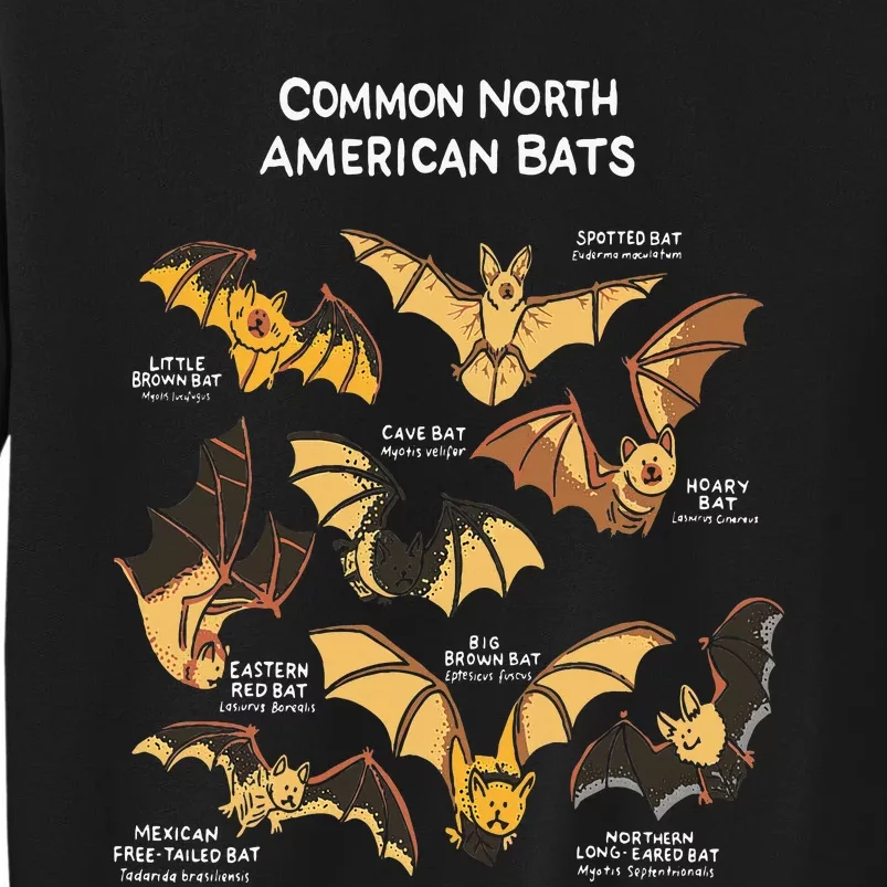 Bats Of North America I Megabat I Bloodsucker I Bat Tall Sweatshirt