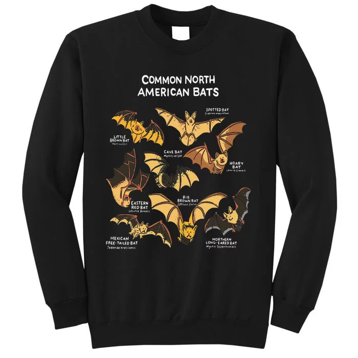 Bats Of North America I Megabat I Bloodsucker I Bat Tall Sweatshirt