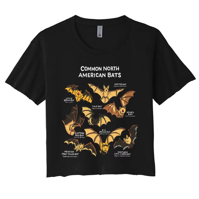 Bats Of North America I Megabat I Bloodsucker I Bat Women's Crop Top Tee