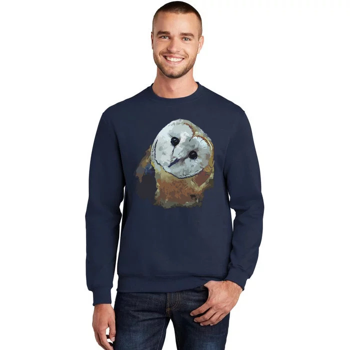 Barn Owl Painting Owl Art Sweatshirt