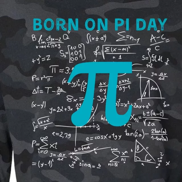 Born On Pi Day Pi Day Birthday Celebrate National Pi Day Gift Cropped Pullover Crew