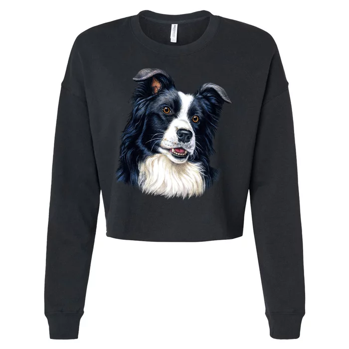 Border Collie Cropped Pullover Crew