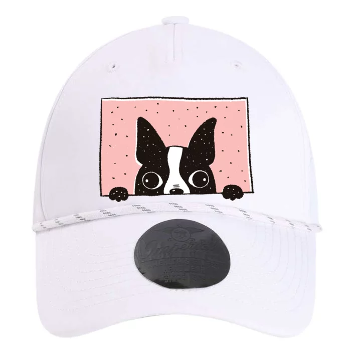 Boston Terrier Peeking Performance The Dyno Cap