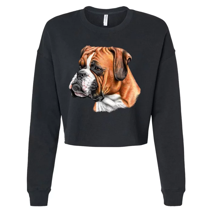 Boxer Face Cropped Pullover Crew