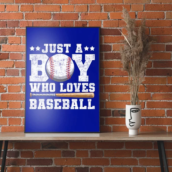 Batter Pitcher American Sport Baseball Lover Baseball Gift Poster