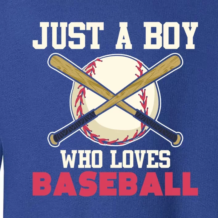 Baseball Player American Sport Baseball Fan Baseball Great Gift Toddler Sweatshirt