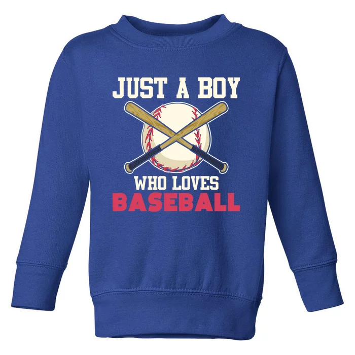 Baseball Player American Sport Baseball Fan Baseball Great Gift Toddler Sweatshirt