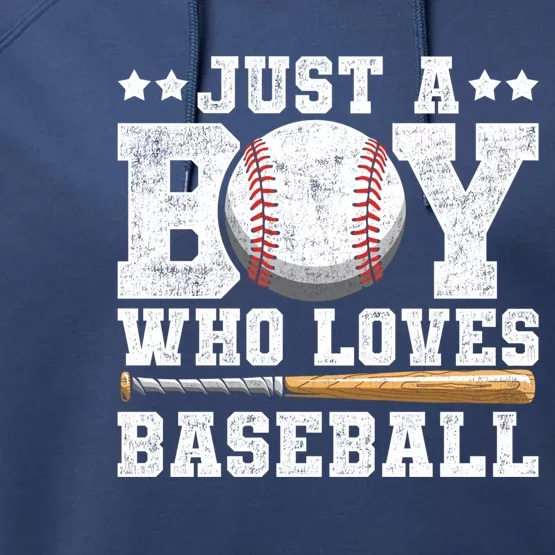 Batter Pitcher American Sport Baseball Lover Baseball Gift Performance Fleece Hoodie