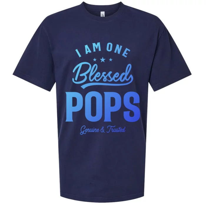 Blessed Pops A Dad Grandpas Pride Dad Grandpa Cool Gift Sueded Cloud Jersey T-Shirt