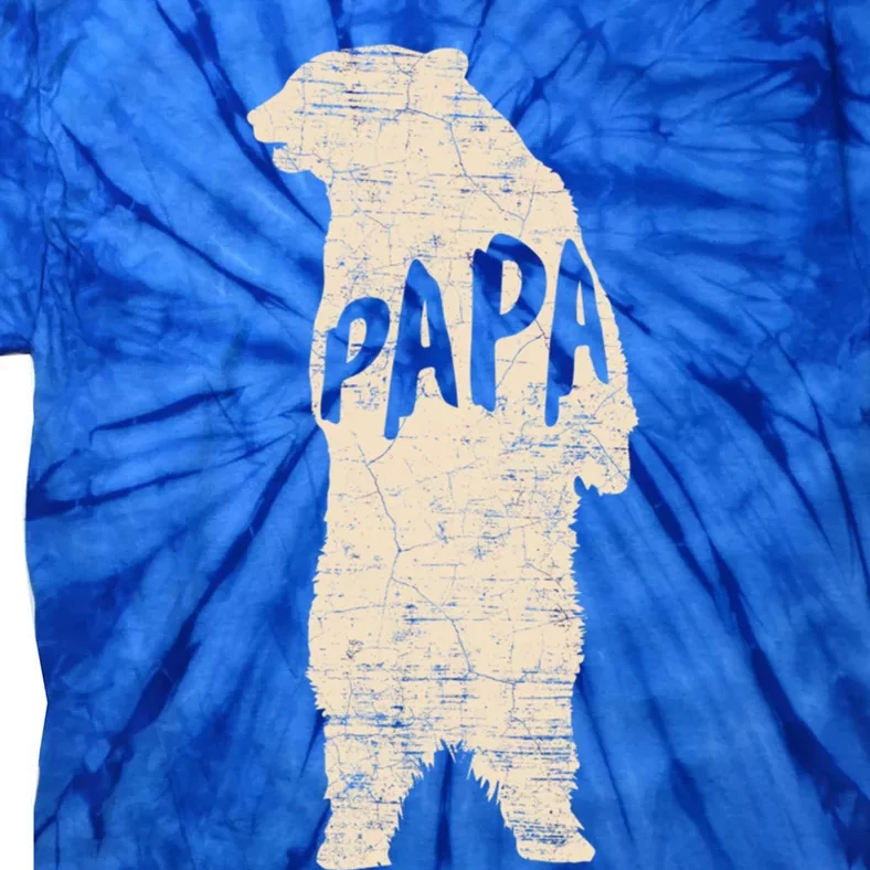 Big Papa Bear Hug Father Novelty Cute Gift Tie-Dye T-Shirt