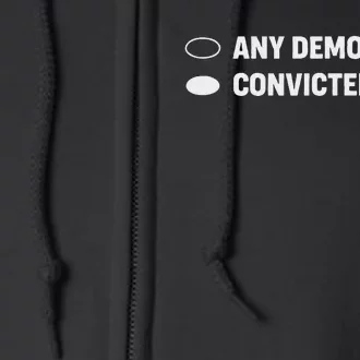 Ballot Paper Convicted Felon Election 2024 Full Zip Hoodie