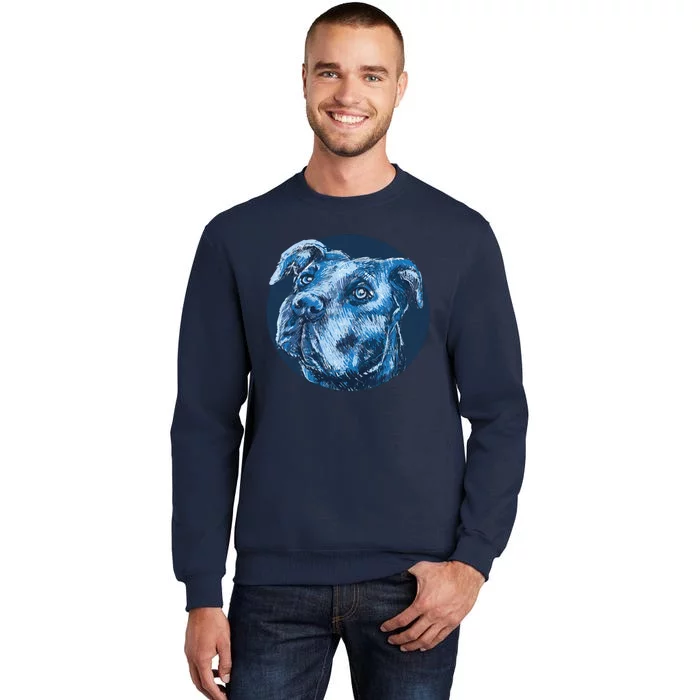 Blue Pitbull Dog Animal Portrait Cute Tall Sweatshirt