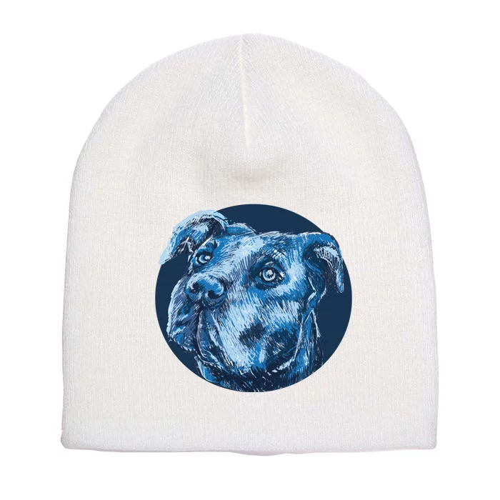 Blue Pitbull Dog Animal Portrait Cute Short Acrylic Beanie