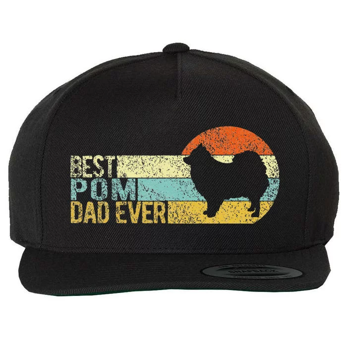 Best Pom Dad Ever Pomeranian Papa Dog Dad Retro Vintage Wool Snapback Cap