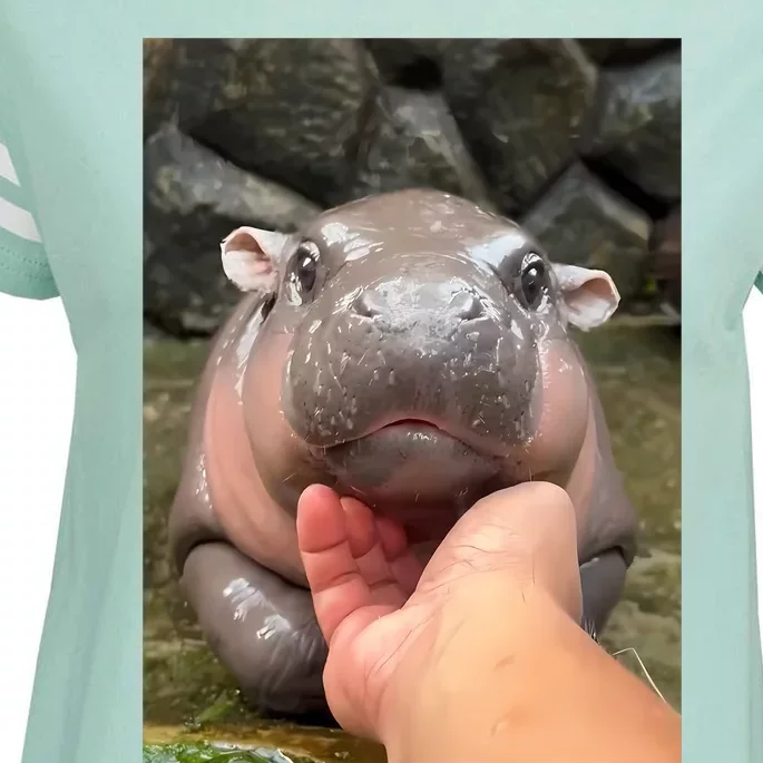 Baby Pygmy Hippo Moo Deng Enza Ladies Jersey Football T-Shirt