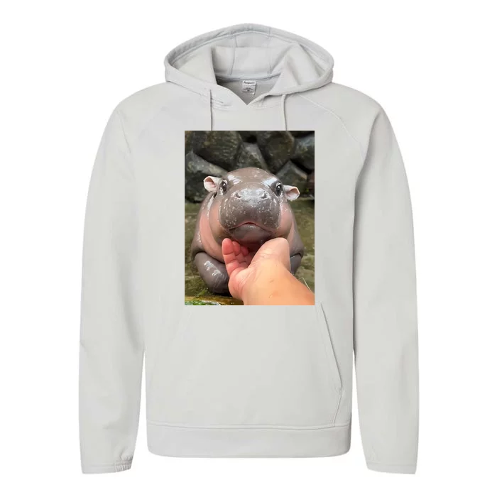 Baby Pygmy Hippo Moo Deng Performance Fleece Hoodie