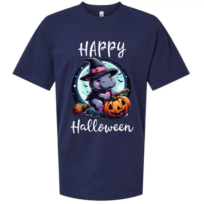 Baby Pygmy Hippo Ride Witch Broom Funny Halloween Hippos Sueded Cloud Jersey T-Shirt