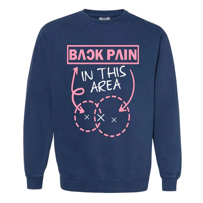 Back Pain In This Area Funny Garment-Dyed Sweatshirt