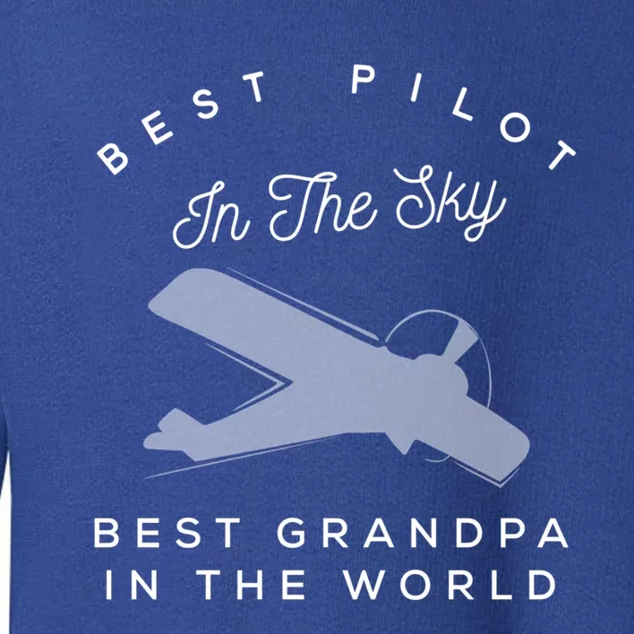 Best Pilot In The Sky Grandpa Granddaughter Gift Toddler Sweatshirt