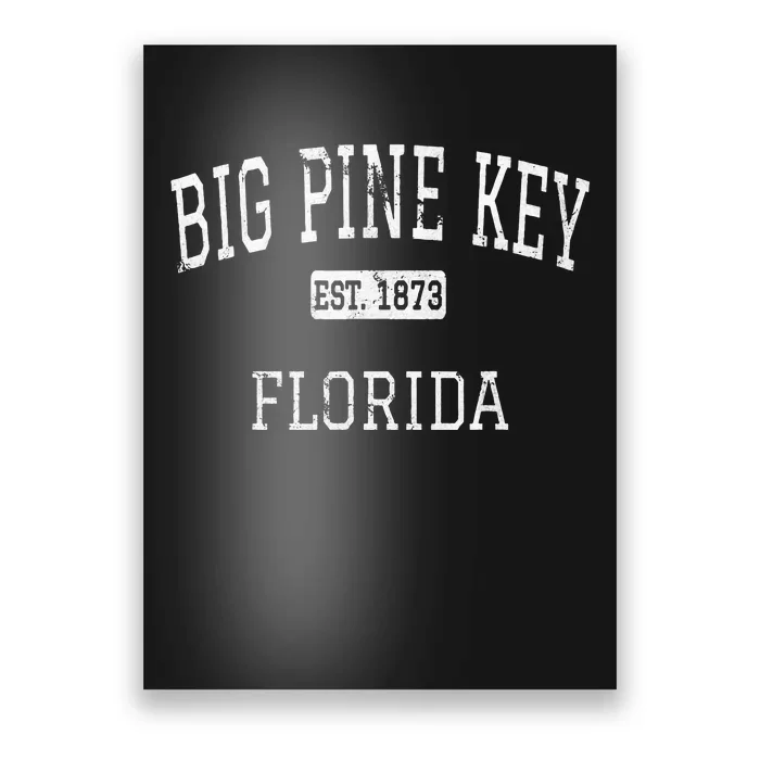 Big Pine Key Florida Fl Vintage Poster