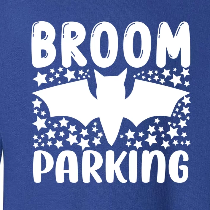 Broom Parking Meaningful Gift Toddler Sweatshirt