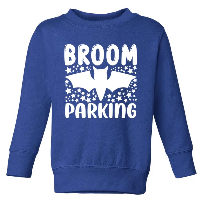 Broom Parking Meaningful Gift Toddler Sweatshirt