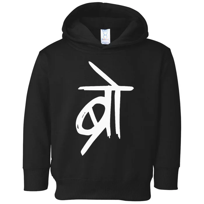 Bro Punjabi Pakistani Desi Bollywood Meme South Asian Gift Toddler Hoodie