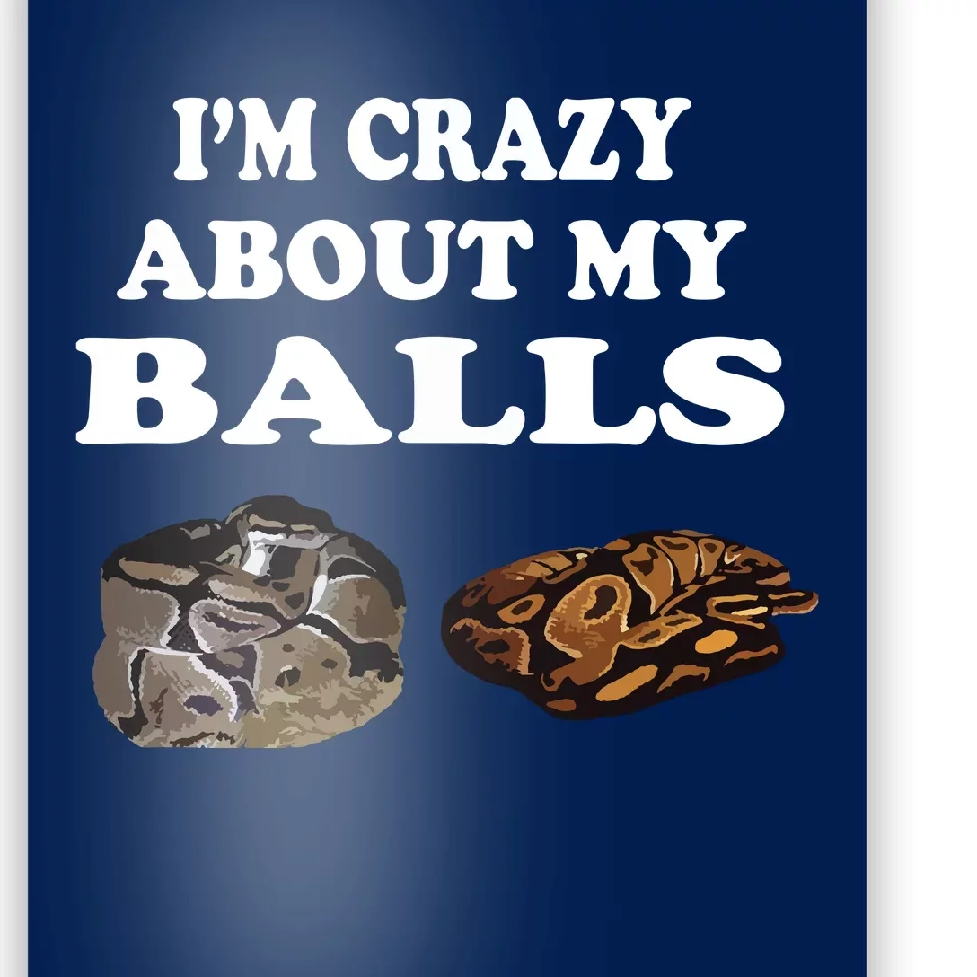 Ball Python Snake T T Baby Ball Python Breeders Poster