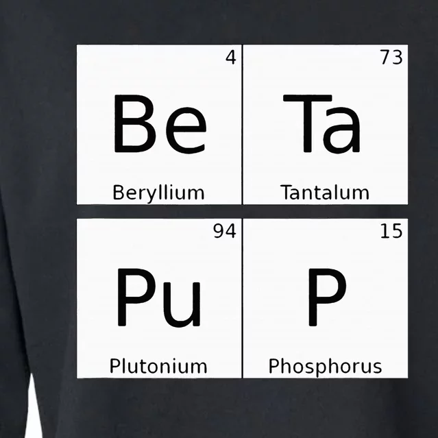 Bdsm Periodic Table Element Beta Pup Kink Roleplay Cropped Pullover Crew