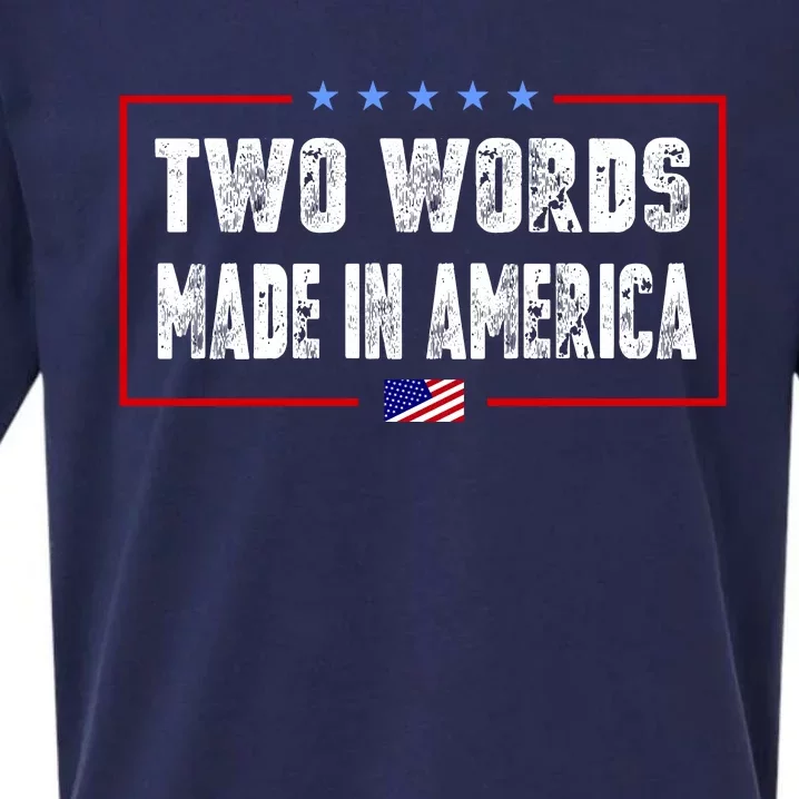 BIDEN QUOTE Two Words, Made In America Sueded Cloud Jersey T-Shirt