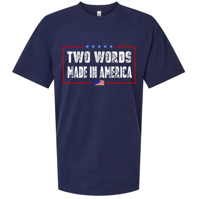 BIDEN QUOTE Two Words, Made In America Sueded Cloud Jersey T-Shirt