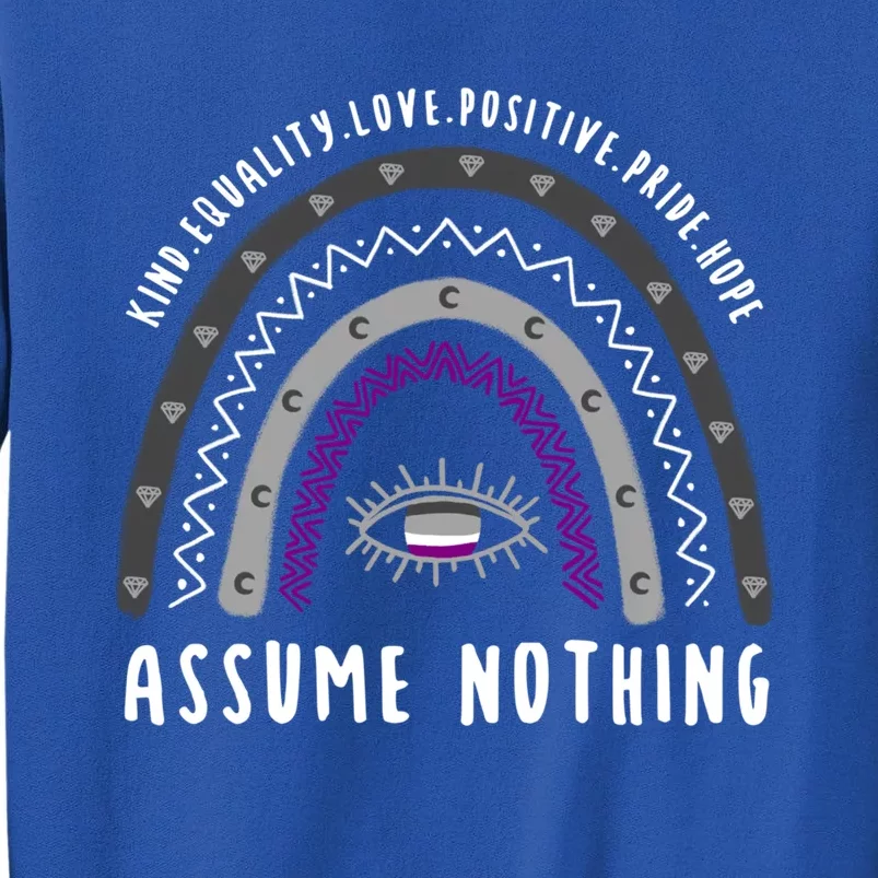 Boho Rainbow Assume Nothing Ace Pride Gift Sweatshirt