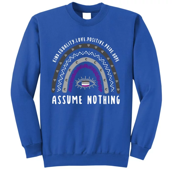 Boho Rainbow Assume Nothing Ace Pride Gift Sweatshirt