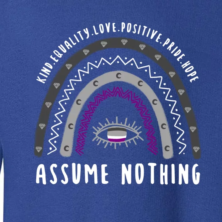 Boho Rainbow Assume Nothing Ace Pride Gift Toddler Sweatshirt