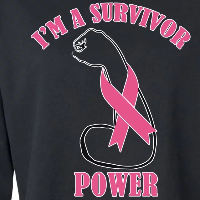 Breast Cancer Survivor Power Cropped Pullover Crew