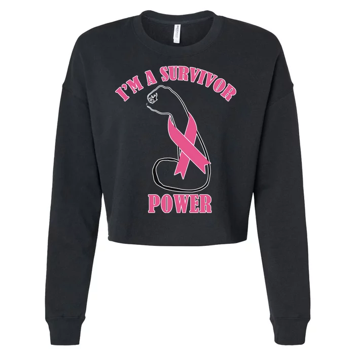 Breast Cancer Survivor Power Cropped Pullover Crew