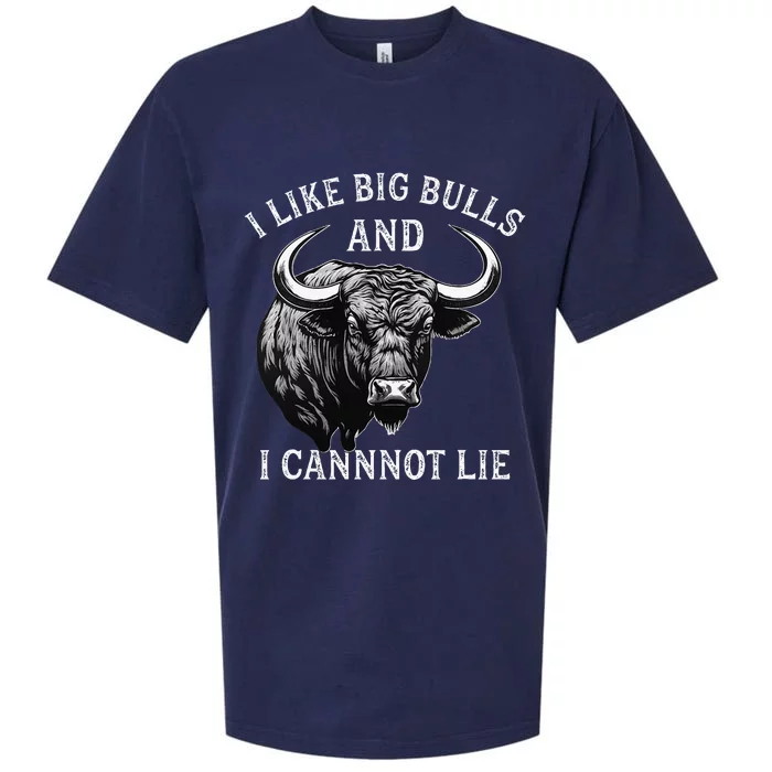 Bull Riding Like Big Bulls Rodeo Bull Rider Western Cowboy Sueded Cloud Jersey T-Shirt