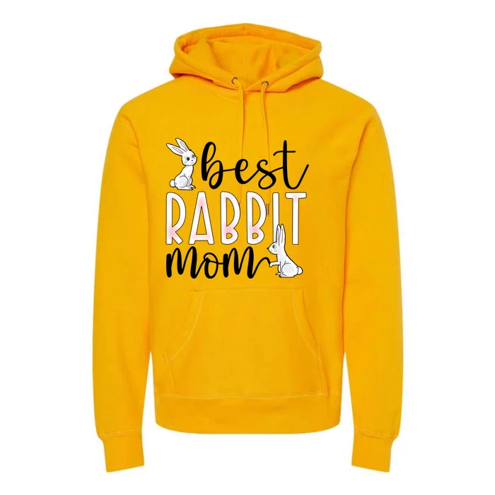 Best Rabbit Mom Bunny Owner Rabbit Mama Bunny Mother Gift Premium Hoodie